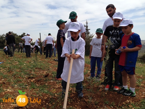 ludandyaffazaitoon (14).JPG